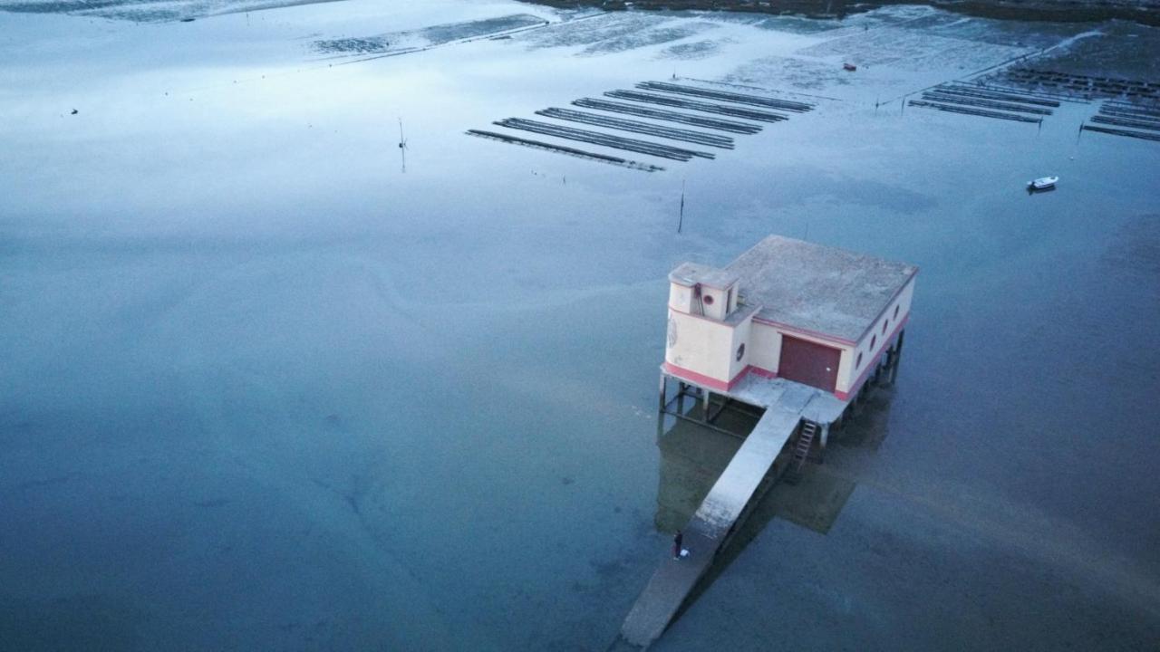 Casa Da Aida Διαμέρισμα Fuzeta Εξωτερικό φωτογραφία