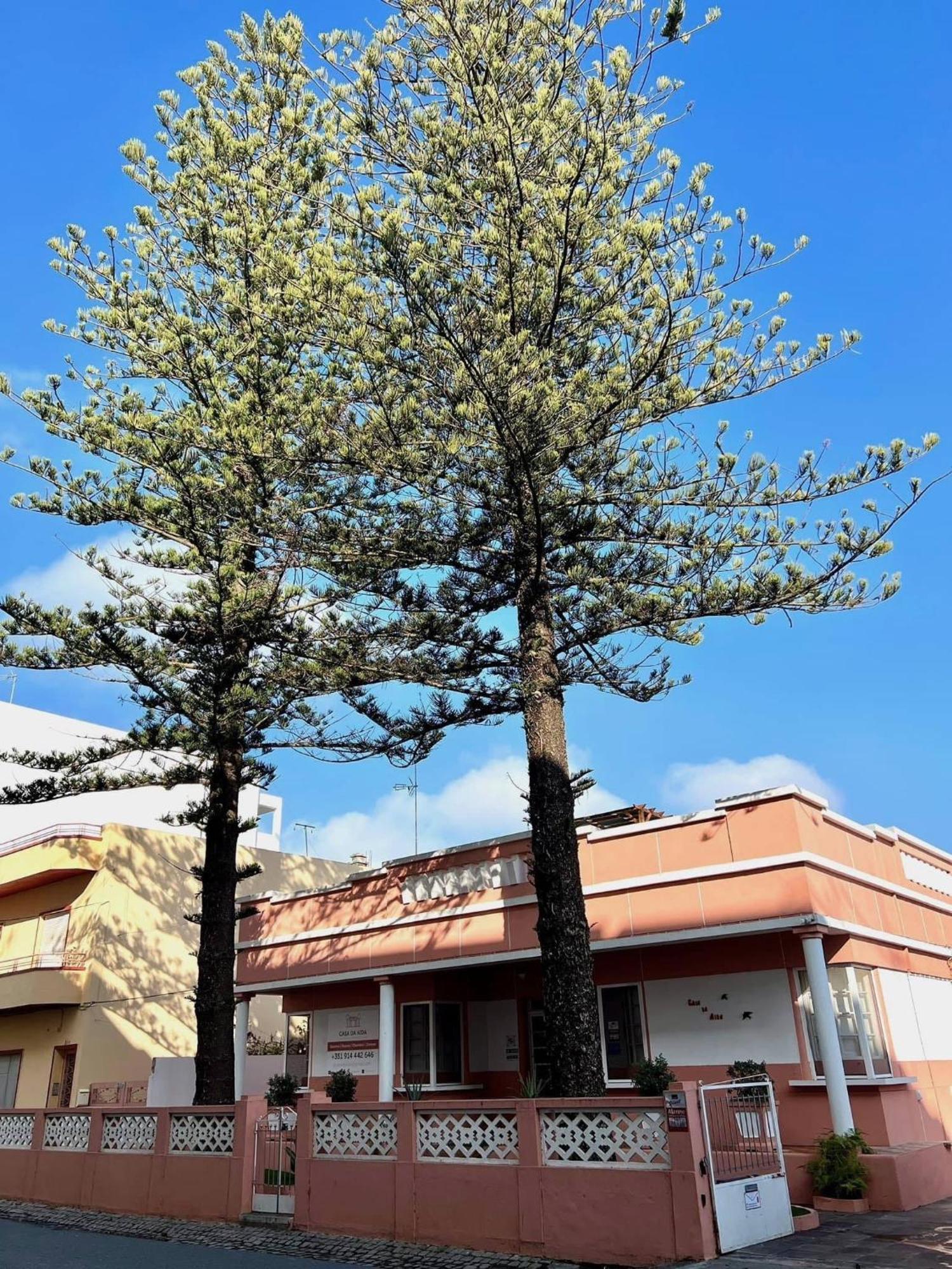 Casa Da Aida Διαμέρισμα Fuzeta Εξωτερικό φωτογραφία